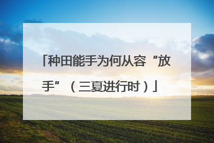 种田能手为何从容“放手”（三夏进行时）