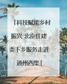 科技赋能乡村振兴 北京住建委下乡服务走进通州西集