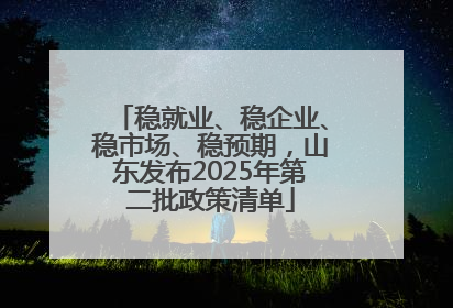 稳就业、稳企业、稳市场、稳预期，山东发布2025年第二批政策清单