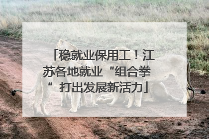 稳就业保用工！江苏各地就业“组合拳”打出发展新活力