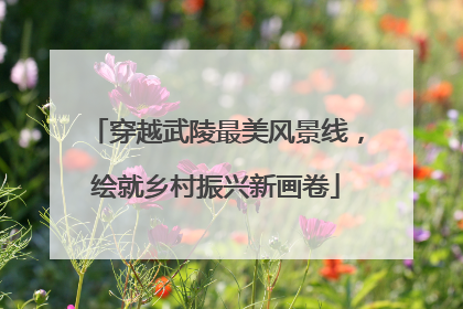 穿越武陵最美风景线，绘就乡村振兴新画卷