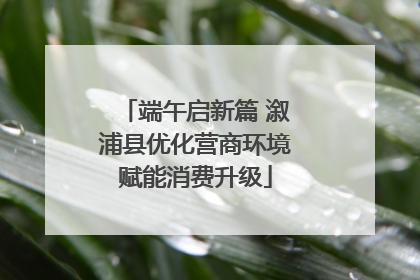 端午启新篇 溆浦县优化营商环境赋能消费升级
