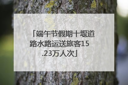端午节假期十堰道路水路运送旅客15.23万人次
