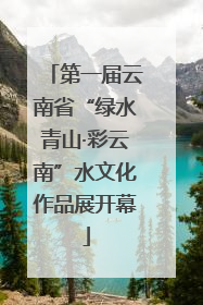 第一届云南省“绿水青山·彩云南”水文化作品展开幕