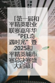 第一届和平精英职业联赛嘉年华“PEL奇遇时光”暨2025和平精英城市赛总决赛盛大启幕