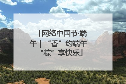 网络中国节·端午｜“香”约端午 “粽”享快乐