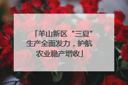 羊山新区“三夏”生产全面发力，护航农业稳产增收