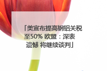 美宣布提高钢铝关税至50% 欧盟：深表遗憾 将继续谈判
