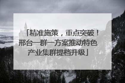 精准施策，重点突破！邢台一群一方案推动特色产业集群提档升级
