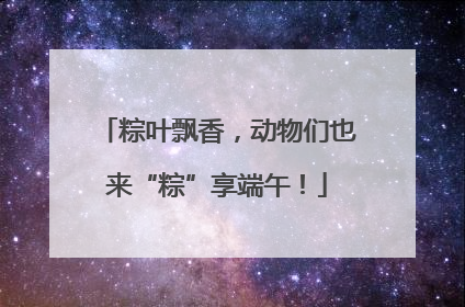 粽叶飘香，动物们也来“粽”享端午！