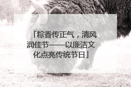 粽香传正气，清风润佳节——以廉洁文化点亮传统节日