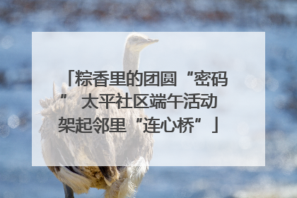 粽香里的团圆“密码” 太平社区端午活动架起邻里“连心桥”