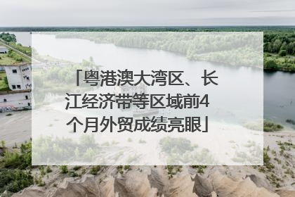 粤港澳大湾区、长江经济带等区域前4个月外贸成绩亮眼