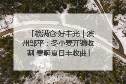 粮满仓·好丰光｜滨州邹平：冬小麦开镰收割 奏响夏日丰收曲