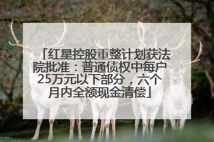 红星控股重整计划获法院批准：普通债权中每户25万元以下部分，六个月内全额现金清偿