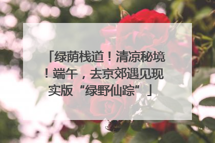 绿荫栈道！清凉秘境！端午，去京郊遇见现实版“绿野仙踪”