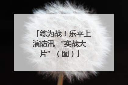 练为战！乐平上演防汛 “实战大片”（图）
