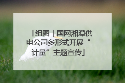 组图｜国网湘潭供电公司多形式开展“计量”主题宣传