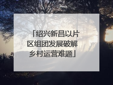 绍兴新昌以片区组团发展破解乡村运营难题