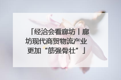 经洽会看廊坊丨廊坊现代商贸物流产业更加“筋强骨壮”