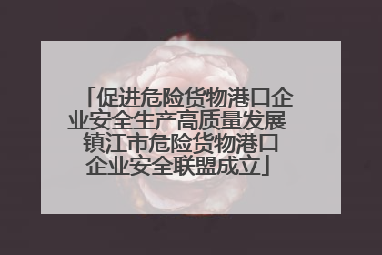 促进危险货物港口企业安全生产高质量发展 镇江市危险货物港口企业安全联盟成立