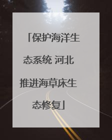 保护海洋生态系统 河北推进海草床生态修复