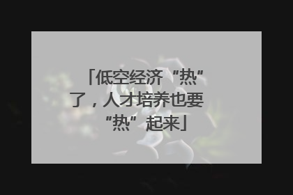 低空经济“热”了，人才培养也要“热”起来
