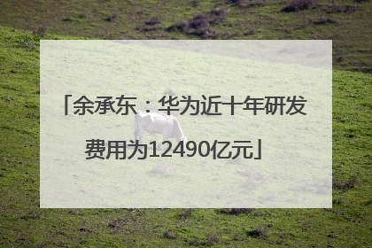 余承东：华为近十年研发费用为12490亿元