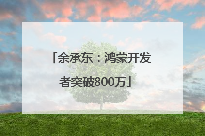 余承东：鸿蒙开发者突破800万