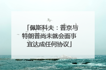 佩斯科夫：普京与特朗普尚未就会面事宜达成任何协议
