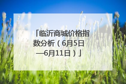 临沂商城价格指数分析（6月5日—6月11日）