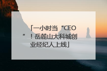 一小时当“CEO”！岳麓山大科城创业经纪人上线