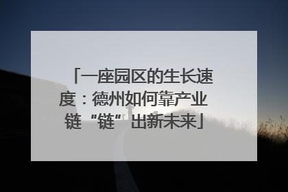 一座园区的生长速度：德州如何靠产业链“链”出新未来