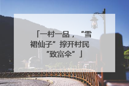一村一品，“雪裙仙子”撑开村民“致富伞”