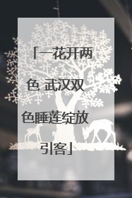一花开两色 武汉双色睡莲绽放引客