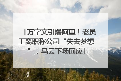 万字文引爆阿里！老员工离职称公司“失去梦想”，马云下场回应
