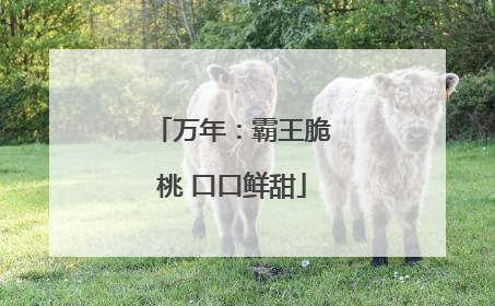 万年：霸王脆桃 口口鲜甜