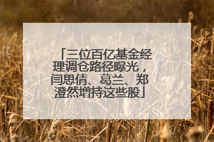 三位百亿基金经理调仓路径曝光，闫思倩、葛兰、郑澄然增持这些股