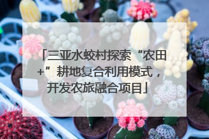 三亚水蛟村探索“农田+”耕地复合利用模式，开发农旅融合项目