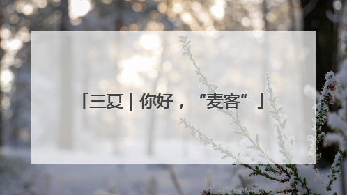 三夏｜你好，“麦客”