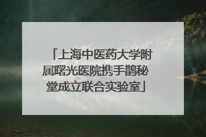 上海中医药大学附属曙光医院携手鹊秘堂成立联合实验室