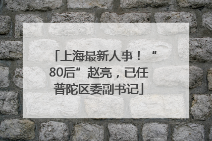 上海最新人事！“80后”赵亮，已任普陀区委副书记