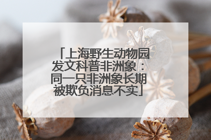 上海野生动物园发文科普非洲象：同一只非洲象长期被欺负消息不实