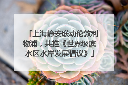 上海静安联动伦敦利物浦，共推《世界级滨水区水岸发展倡议》
