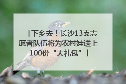 下乡去！长沙13支志愿者队伍将为农村娃送上100份“大礼包”