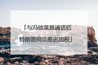 与冯德莱恩通话后 特朗普同意推迟加税
