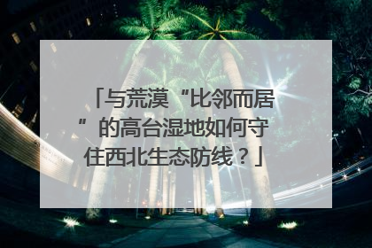 与荒漠“比邻而居”的高台湿地如何守住西北生态防线？
