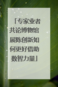 专家业者共论博物馆展陈创新如何更好借助数智力量