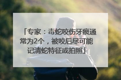 专家：毒蛇咬伤牙痕通常为2个，被咬后尽可能记清蛇特征或拍照