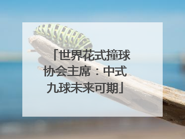 世界花式撞球协会主席：中式九球未来可期